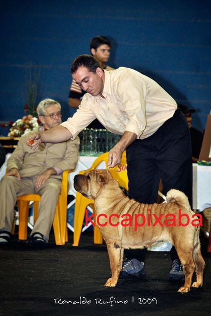 Clique sobre a foto para fechar